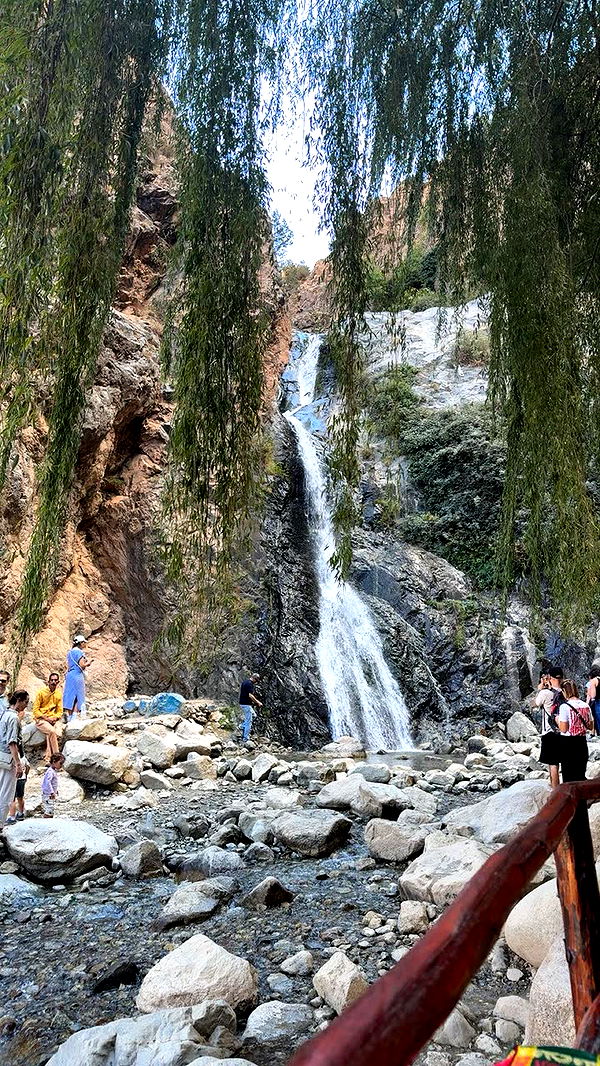 melekjen image ~ Altpins