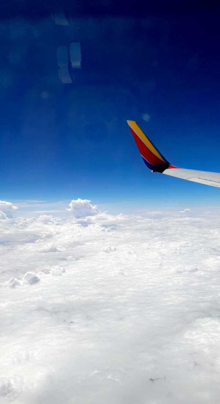 alectra4real  image archive image