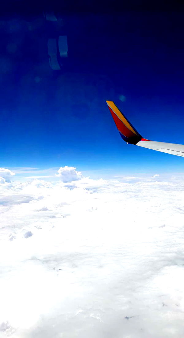 alectra4real image ~ Altpins