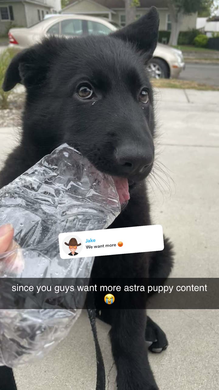 kaykayd29  image archive image