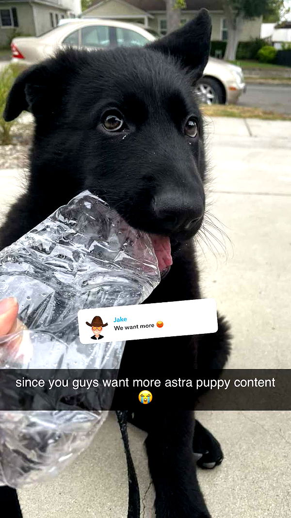 kaykayd29 image ~ Altpins