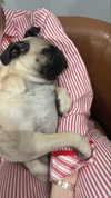 natalie_val3 Altpins Profile Picture