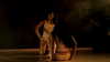 suspiria.em Altpins Profile Picture