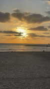 michelleloven_ Altpins Profile Picture
