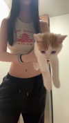 polin.ane.x Altpins Profile Picture