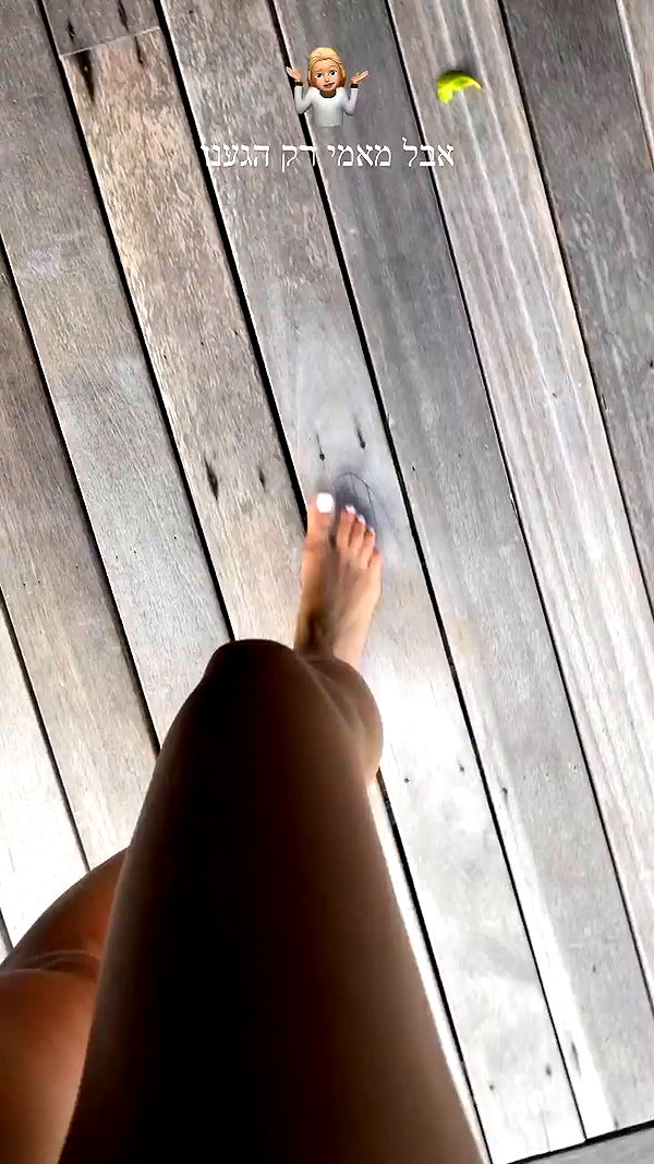 barzomer archive video preview