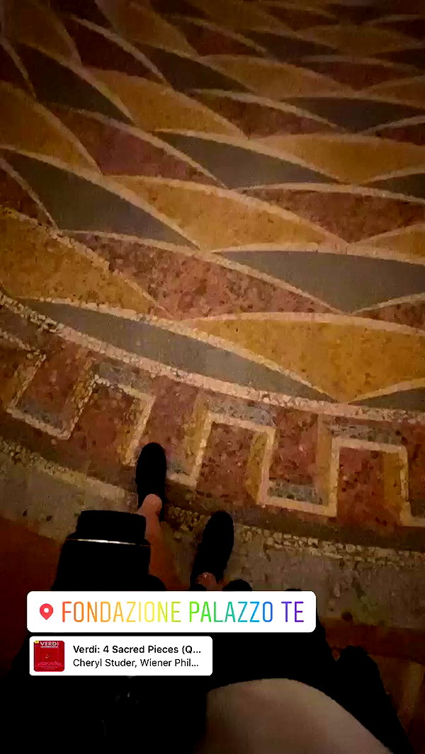 nikoleta.milenova archive video preview