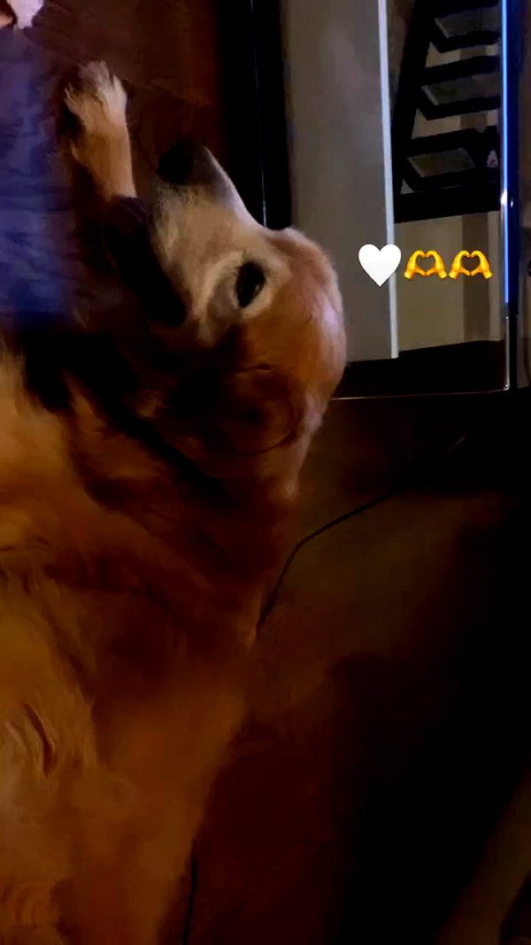 analuvillarreal archive video preview