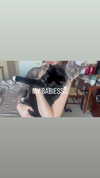 luvstuff3r Altpins Profile Picture