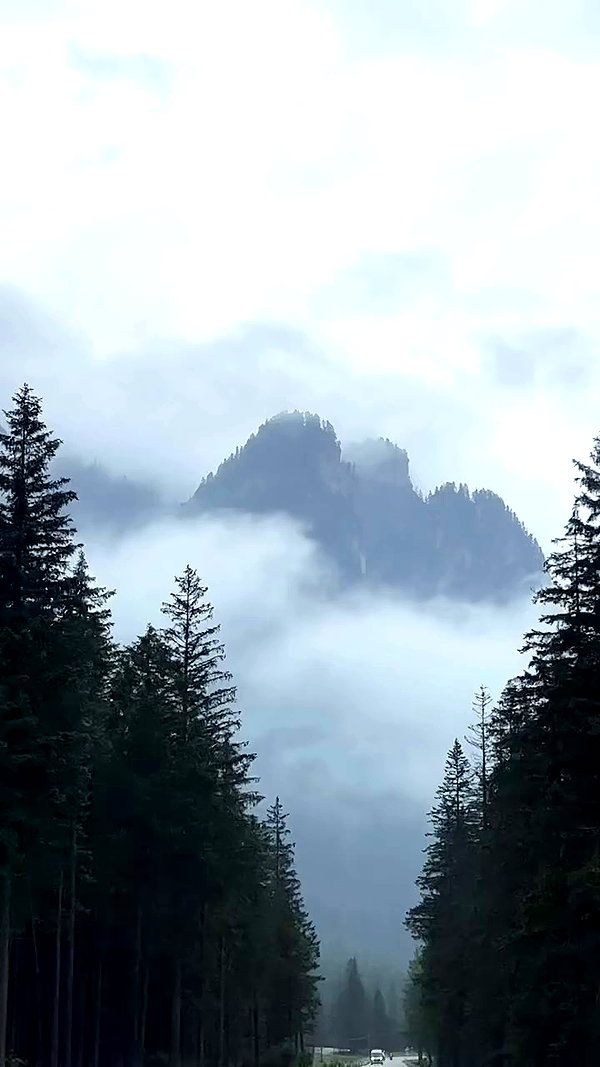 taylor.creeden archive video preview