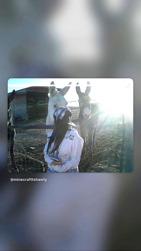 zommmbri archive video preview