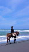 jiw_____n Altpins Profile Picture