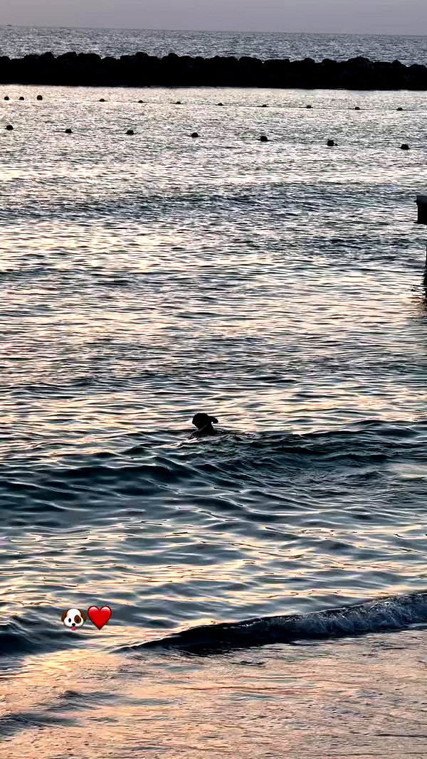 shira_adar_ archive video preview