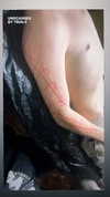venecatattoo Altpins Profile Picture
