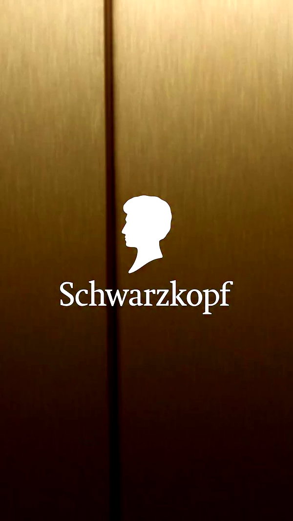 hairbyschwarzkopf.usa archive video preview