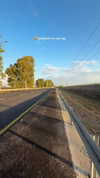 mishel_d_ Altpins Profile Picture