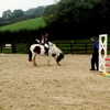 kafelnikova_a Altpins Profile Picture