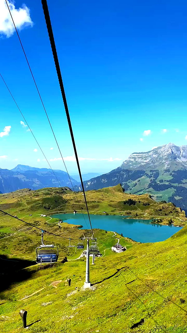 swfx_real archive video preview