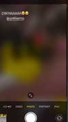 fungusfr0g Altpins Profile Picture