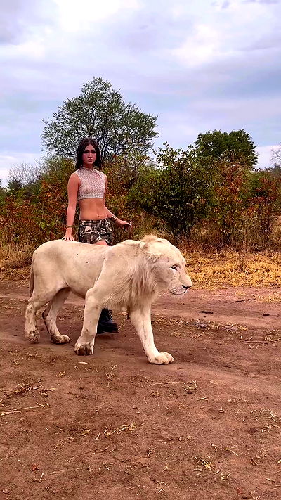 taylor.creeden taylor.creeden archive video