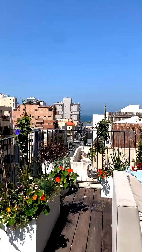 refaella_twina archive video preview