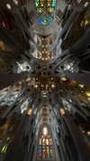 rouxroux.tv Altpins Profile Picture