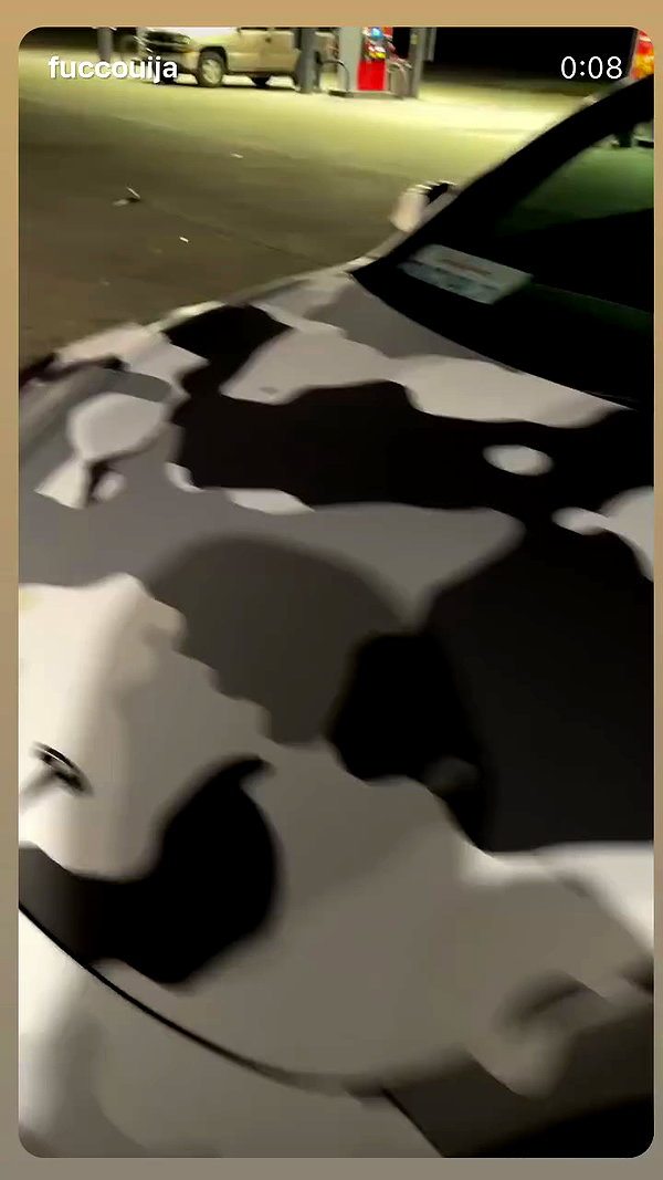 eggstonite archive video preview