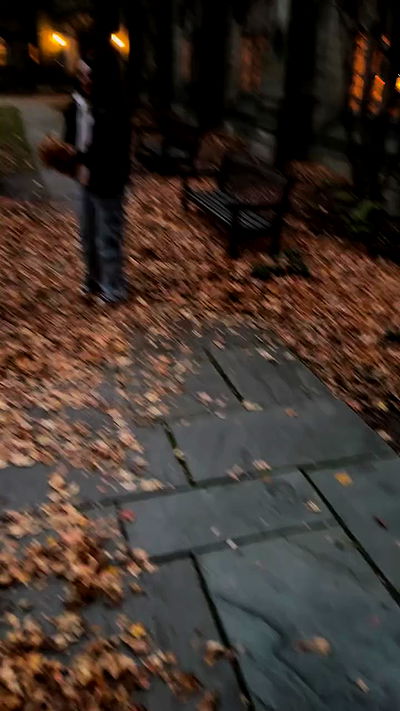 biton__adi biton__adi archive video