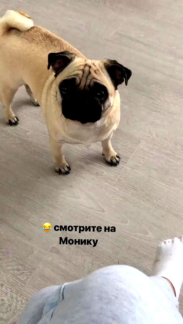 nyityam archive video preview