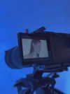 solzarubin_ Altpins Profile Picture