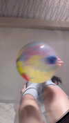 elerievans123 Altpins Profile Picture