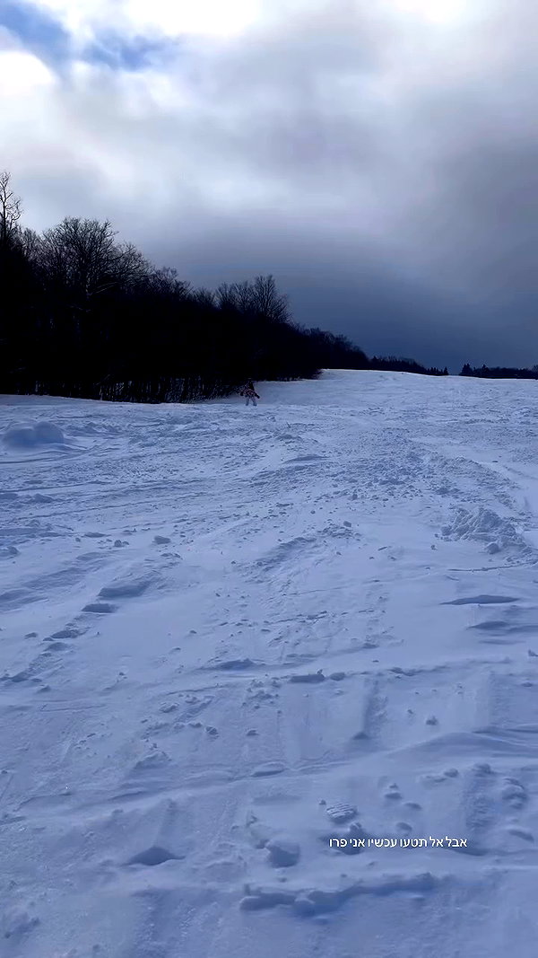 michal_cohen017 archive video preview