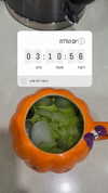 avital_1010.2003 Altpins Profile Picture