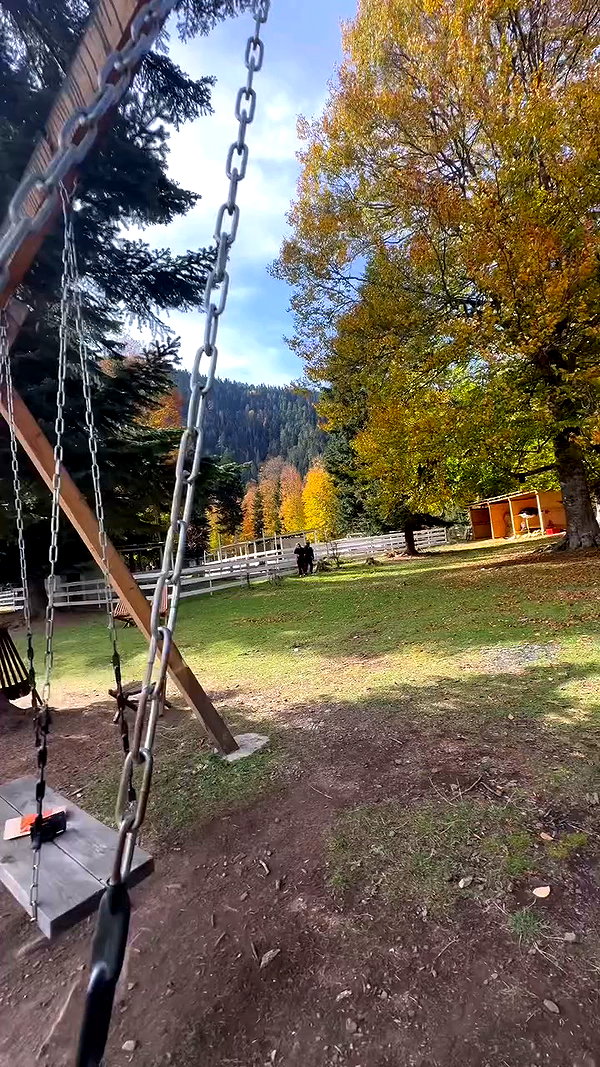 amatveyko archive video preview