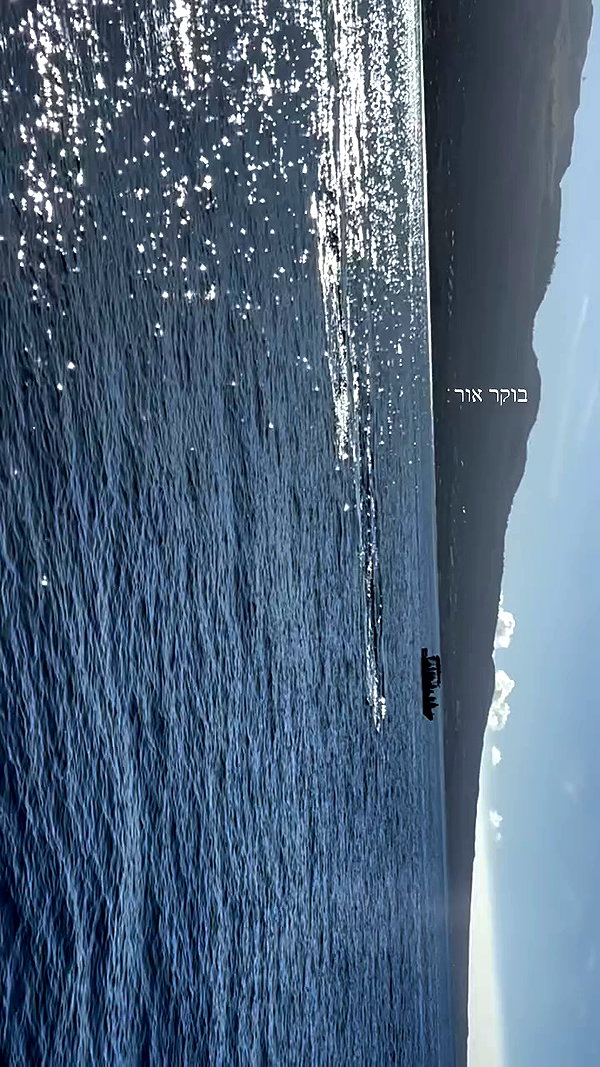maori_cohen archive video preview