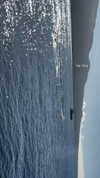 maori_cohen Altpins Profile Picture