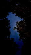 yoo.mon Altpins Profile Picture