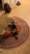 libby_reut Altpins Profile Picture