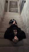 kkwwwv Altpins Profile Picture