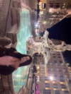 elsgatti Altpins Profile Picture
