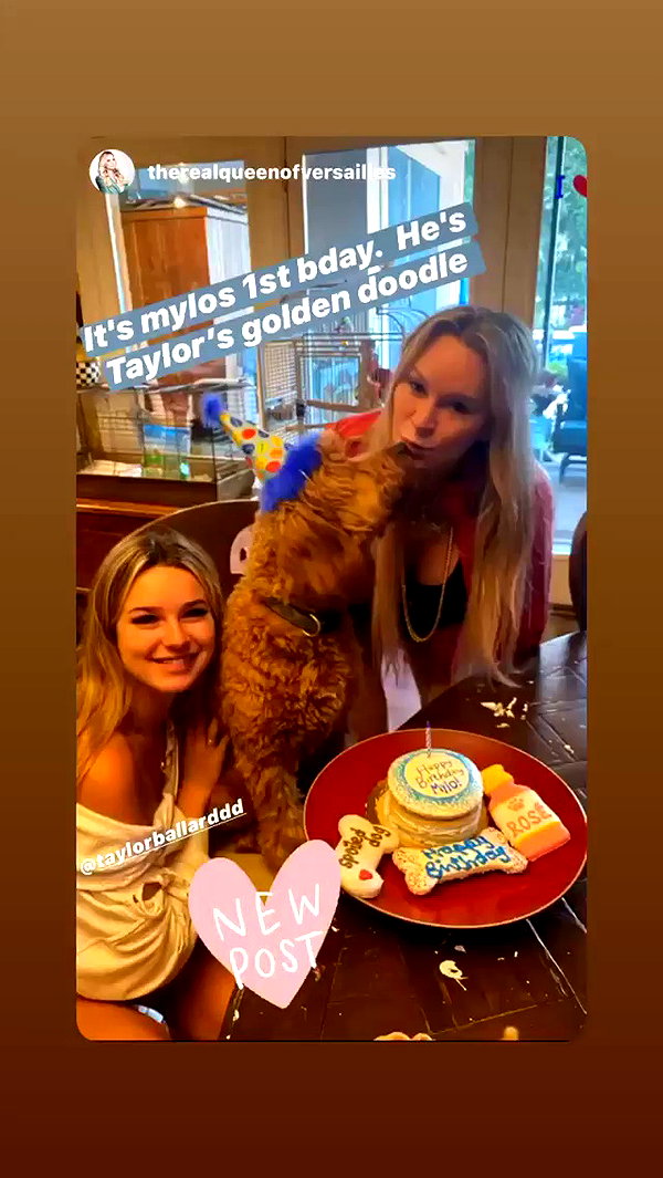 taylorballarddd archive video preview