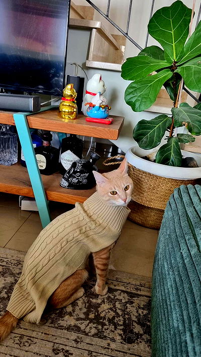 ronyida_ ronyida_ archive video