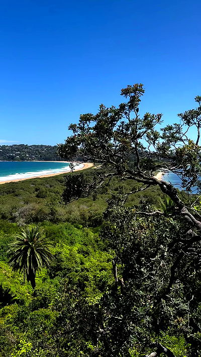 taylor.creeden taylor.creeden archive video