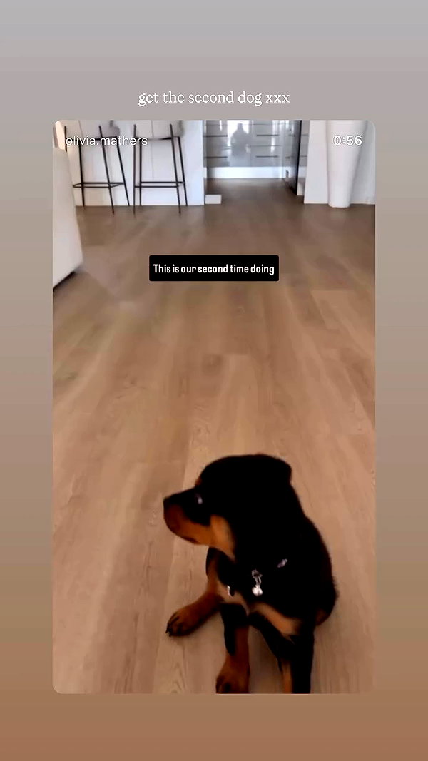 olivia.mathers archive video preview