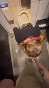 strawberryshanz Altpins Profile Picture