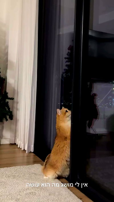 itsilanosh itsilanosh archive video