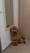 lihi.stoller Altpins Profile Picture