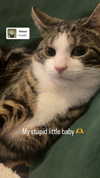 jahia_brown Altpins Profile Picture