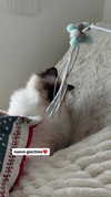 kasumi_sen Altpins Profile Picture