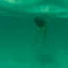elizabrowne_ Altpins Profile Picture